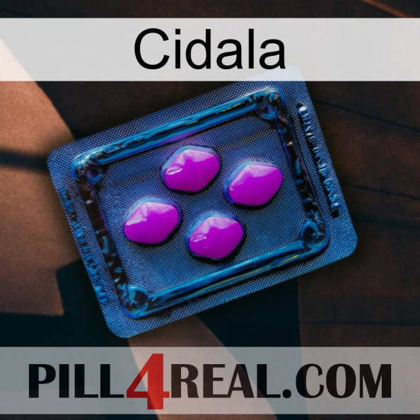 Cidala 04